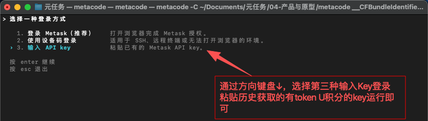 MetaCode 登录方式选择界面,选第三种输入 API Key 并粘贴密钥